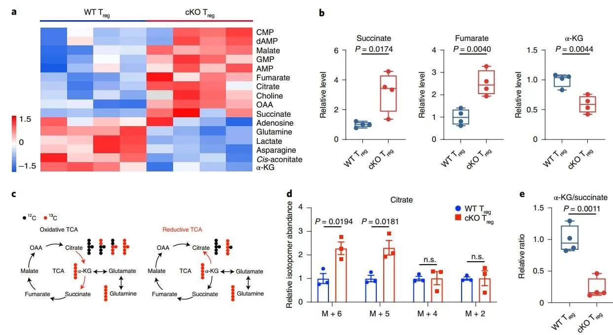 targeted metabolomics of Treg cells